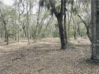 217 COTTAGE HILL ROAD, Apalachicola, FL 32320 