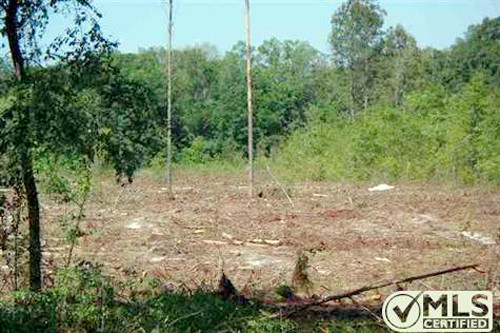 VACANT SE CORINTH CHURCH Road, Lee, FL 32059 