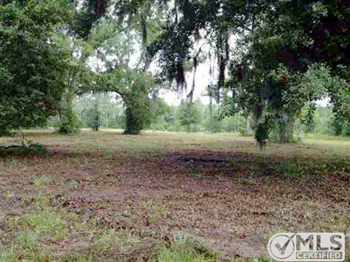 Vacant NE Lavender Trail, Lee, FL 32059 