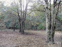 5141 SE CR 255, Lee, FL 32059 