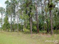 Vacant NE Dixon Court, Lee, FL 32059 