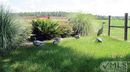 Vacant NE Duval Pond Road, Madison, FL 32340 