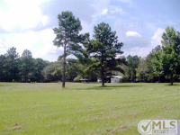 725 NW CARIBOU WAY, Madison, FL 32340 