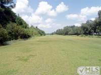 Vacant W 5th Court, Greenville, FL 32331 