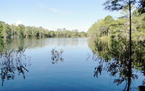 TBD SE LAKEVIEW DR, Mayo, FL 32066 