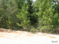 3126 LUCAS LAKE, Chipley, FL 32428 