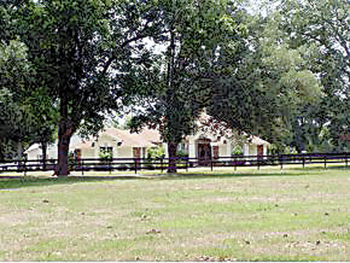 3950 SE 219 AVE, Morriston, FL 32668 