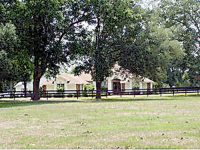 3950 SE 219 AVE, Morriston, FL 32668 