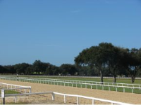 000 SE 146 AVE, Morriston, FL 32668 