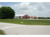 HYDRANGEA AVE, Polk City, FL 33868 