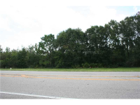 0 HWY 33, Lakeland, FL 33809 