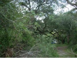 000 7th Street, Elkton, FL 32033 