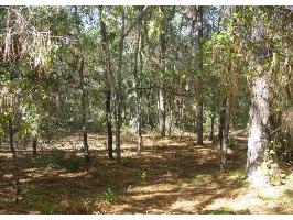 104 Arizona St, Satsuma, FL 32189 