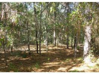 104 Arizona St, Satsuma, FL 32189 