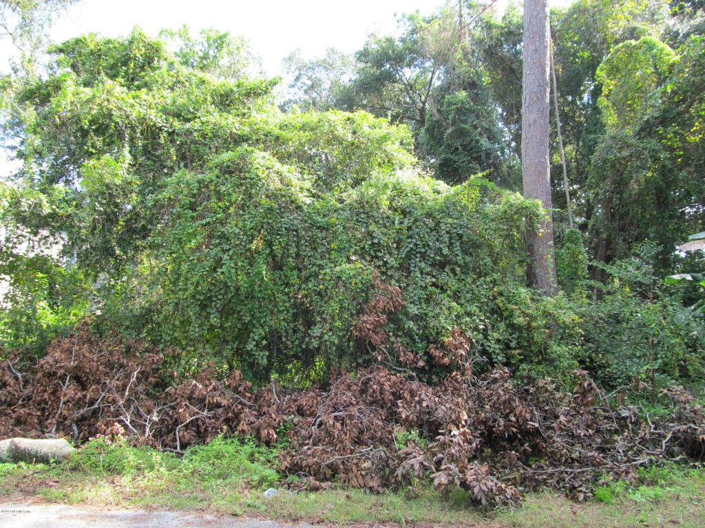 Lot 5 20th Ave N, Jacksonville Beach, FL 32250 