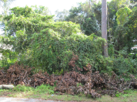 Lot 5 20th Ave N, Jacksonville Beach, FL 32250 