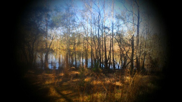 000 Fox Rd, Pace, FL 32571 