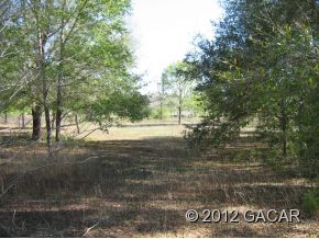 03 NE 105 Street, Archer, FL 32618 