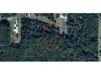 0 NW 142 ST, Morriston, FL 32686 