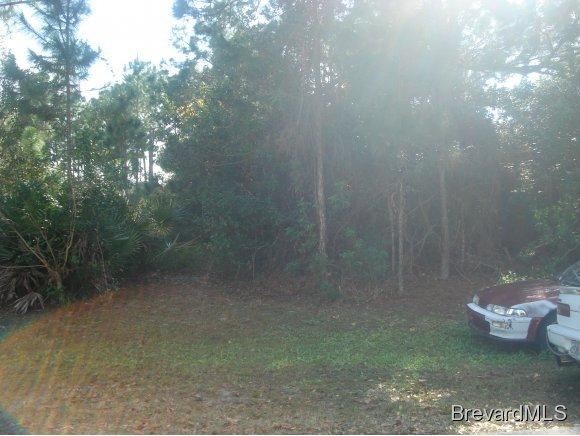 952 SE Commerce Road, Palm Bay, FL 32909 