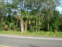13301 County Road 672, Riverview, FL 33579 