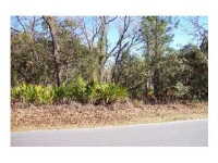 12127 W. Fig Tree Lane, Crystal River, FL 34428 