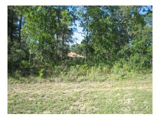 2327 SIXTH STREET, Inverness, FL 34453 