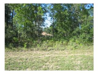 2327 SIXTH STREET, Inverness, FL 34453 