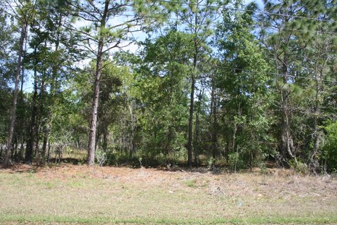 213 N. Charles Avenue, Inverness, FL 34453 