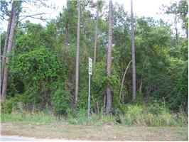 COUNTY RD 48, Yalaha, FL 34797 