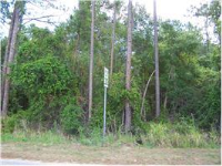 COUNTY RD 48, Yalaha, FL 34797 