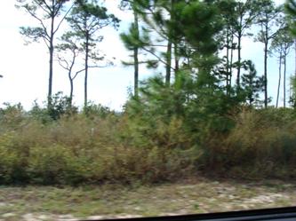 16297 Tarpon Drive, Pensacola, FL 32507 