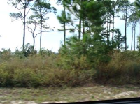 16297 Tarpon Drive, Pensacola, FL 32507 