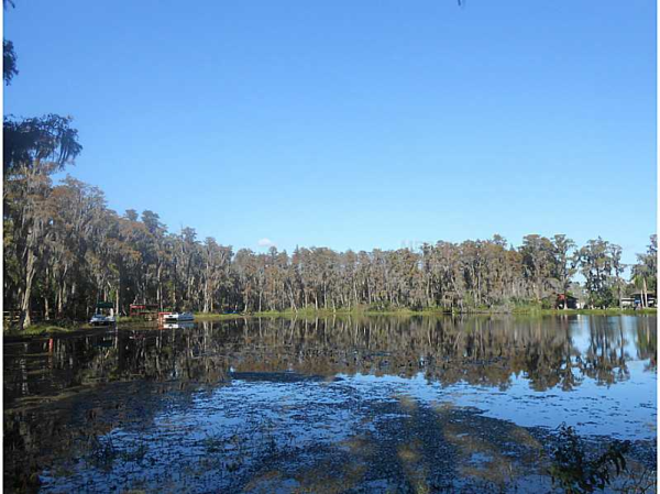 16301 DEW DROP LN, Tampa, FL 33625 