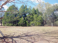 27535 DEBBIE RD, Okahumpka, FL 27535 