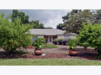 300 E. Croton Way, Howey in the Hills, FL 34737 