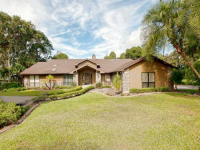 6400 DORA DR, Mount Dora, FL 32757 