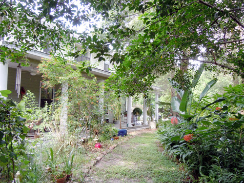 7241 LAKE OLA DR, Mount Dora, FL 32757 