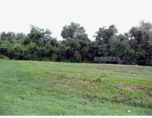 8 Nest Court, Grand Island, FL 32735 