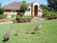 5309 MILL STREAM DR, Saint Cloud, FL 34771 