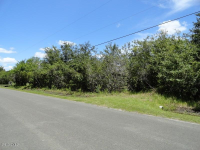 0 Packard Avenue, Saint Cloud, FL 34772 