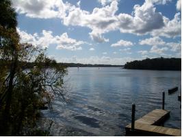 99 Broad River Pl, Unit 3105, Welaka, FL 32193 