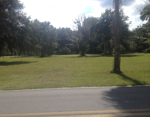 1047 Elm St, Welaka, FL 32193 