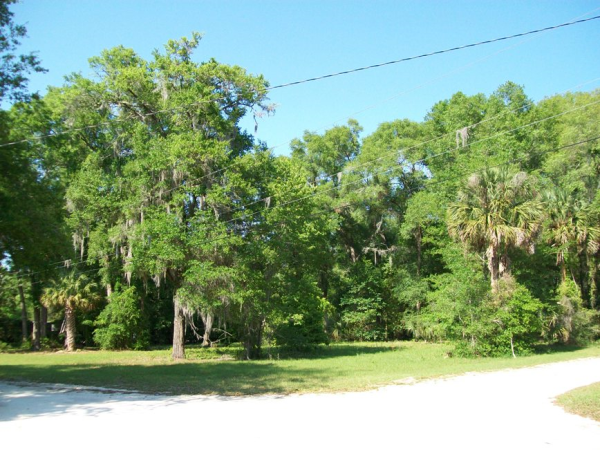 800 4th Ave, Welaka, FL 32193 