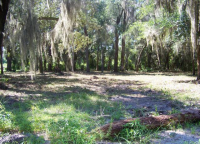 633 McClure St, Welaka, FL 32193 