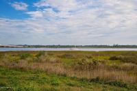 13846 Atlantic Blvd 710, Jacksonville, FL 32225 