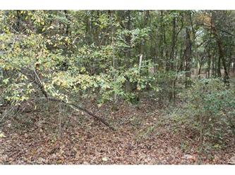 316 Forest Circle, Havana, FL 32333 