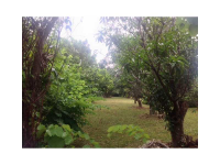 9260 SW 84 AV, Miami, Florida 33156 