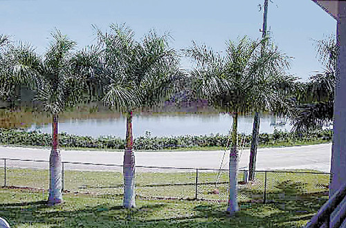 145 Horseshoe, Terra Ceia, FL 34250 