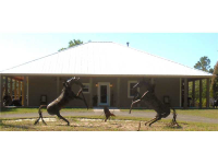 14255 101ST ST, Fellsmere, FL 14255 